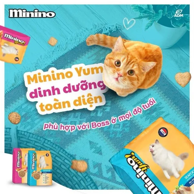 Hạt Minino Yum