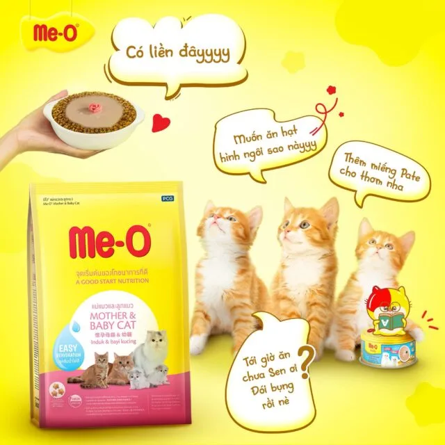 Hạt Me-o - Ảnh 4