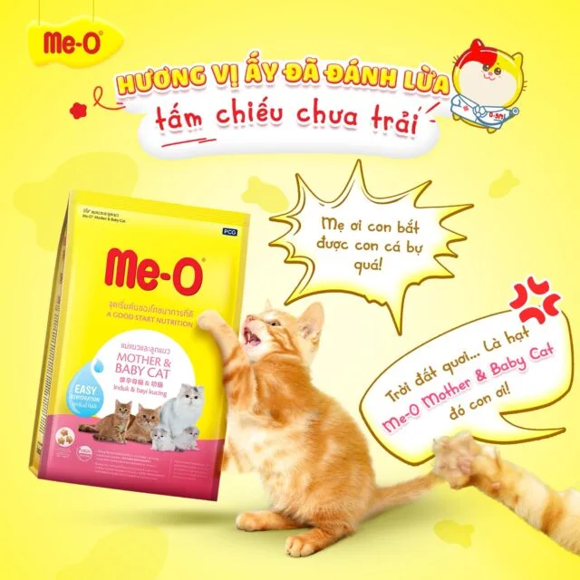 Hạt Me-o - Ảnh 3