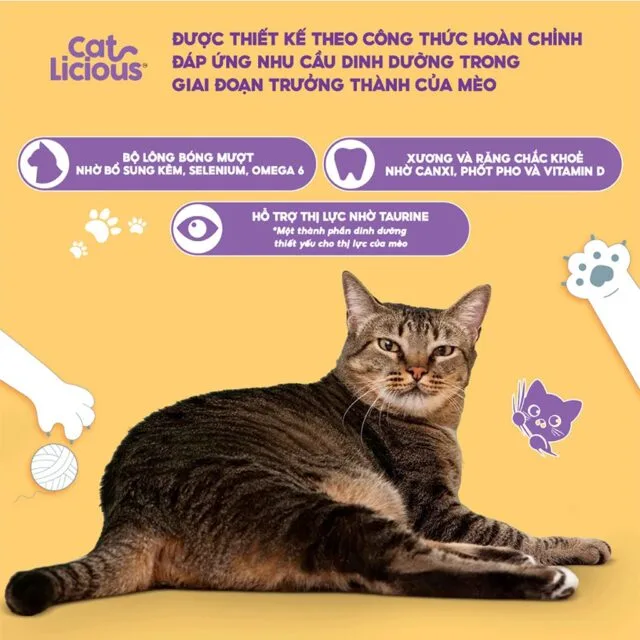 Hạt Catlicious 1kg - Ảnh 8