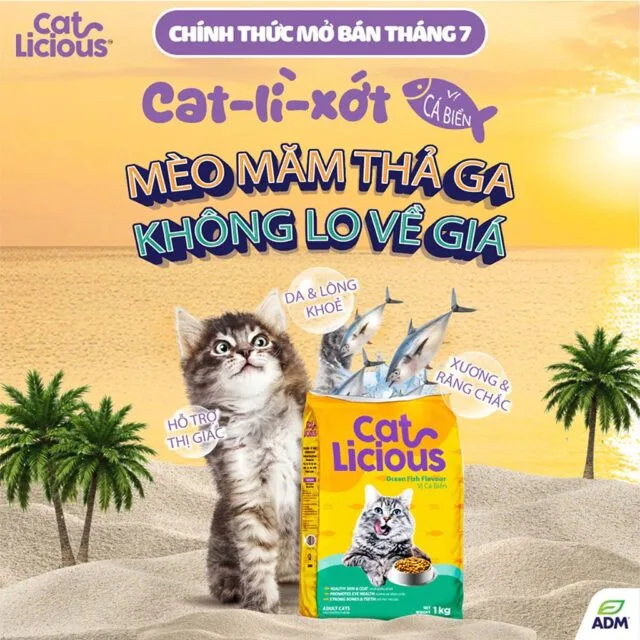 Hạt Catlicious 1kg - Ảnh 7