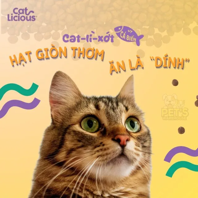 Hạt Catlicious 1kg - Ảnh 3