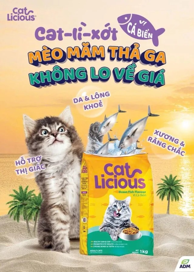 Hạt Catlicious 1kg