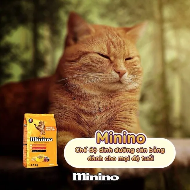 Hạt Minino vị cá ngừ - Ảnh 2
