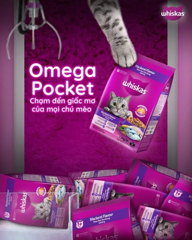 Hạt Whiskas cho mèo con 1.1kg - Ảnh 6