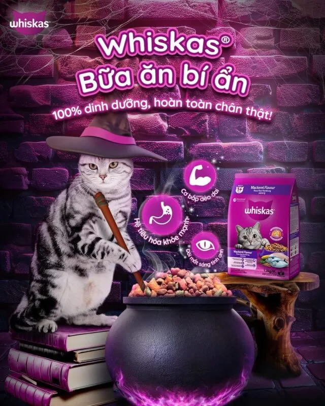 Hạt Whiskas cho mèo con 1.1kg - Ảnh 7
