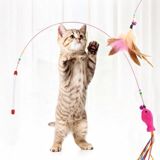 Cần câu mèo cầm tay lông vũ/ con cá/ con sâu - Ảnh 6