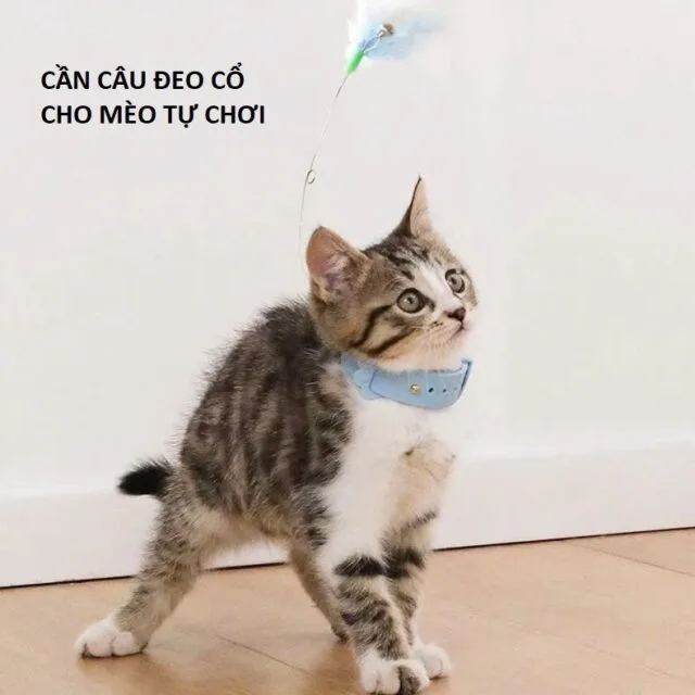Cần câu đeo cổ/ chân bàn cho mèo - Ảnh 5