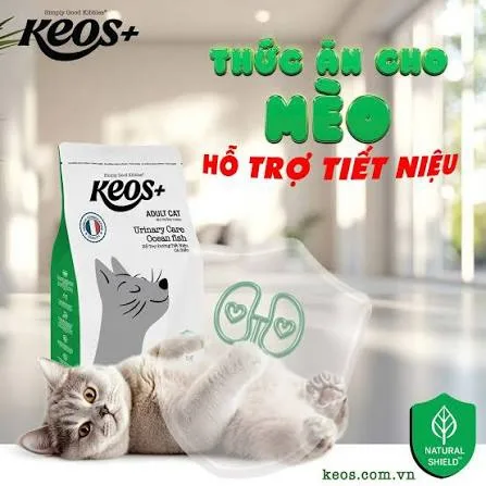 Hạt Keos cho mèo - Ảnh 5