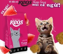 Hạt Keos cho mèo - Ảnh 7