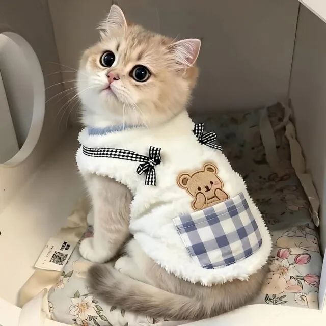 Áo bông gấu nơ caro