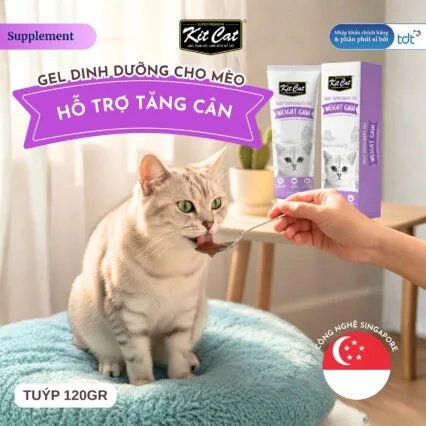 Gel dinh dưỡng KitCat hỗ trợ tăng cân