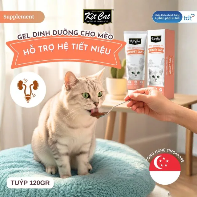 Gel hỗ trợ tiết niệu KitCat