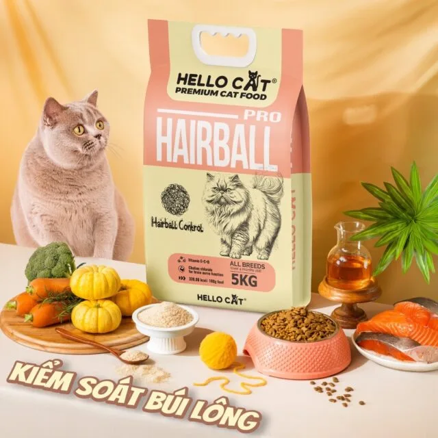 Hạt Hello Cat