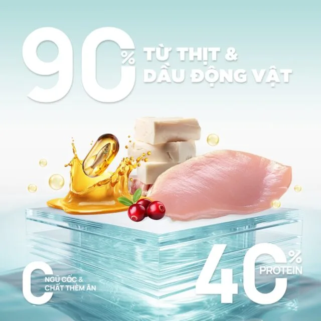 Hạt PetQ Churro túi 1kg - Ảnh 3