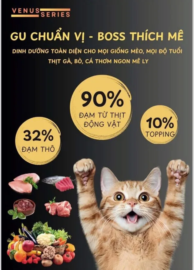 Hạt Rio Cat 1kg - Ảnh 3