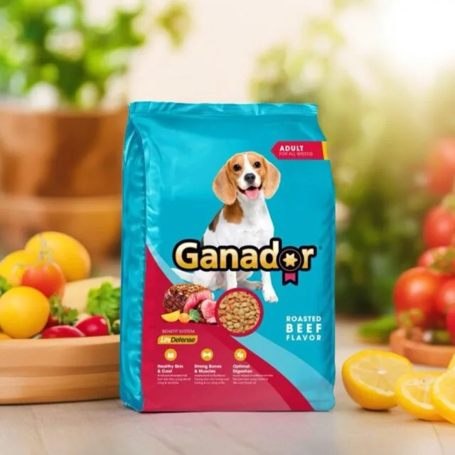 Hạt Ganador túi 3kg vị bò/ gà nướng cho chó trưởng thành - Ảnh 3