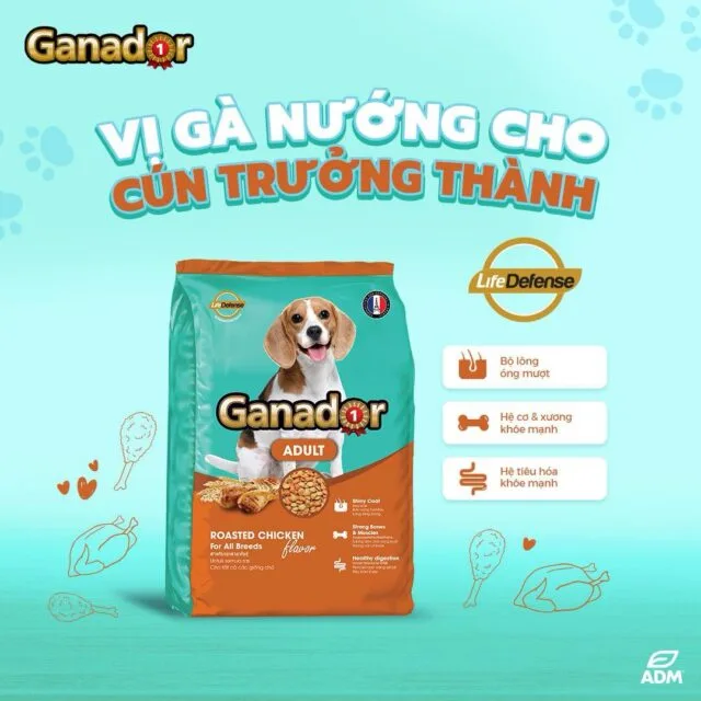 Hạt Ganador túi 3kg vị bò/ gà nướng cho chó trưởng thành - Ảnh 2