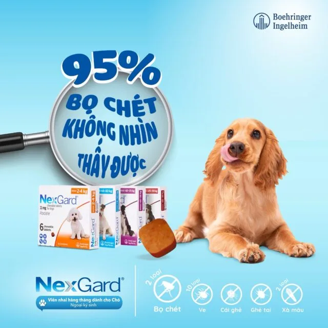 Viên nhai Nexgard trị ngoại kí sinh cho cún - Ảnh 5
